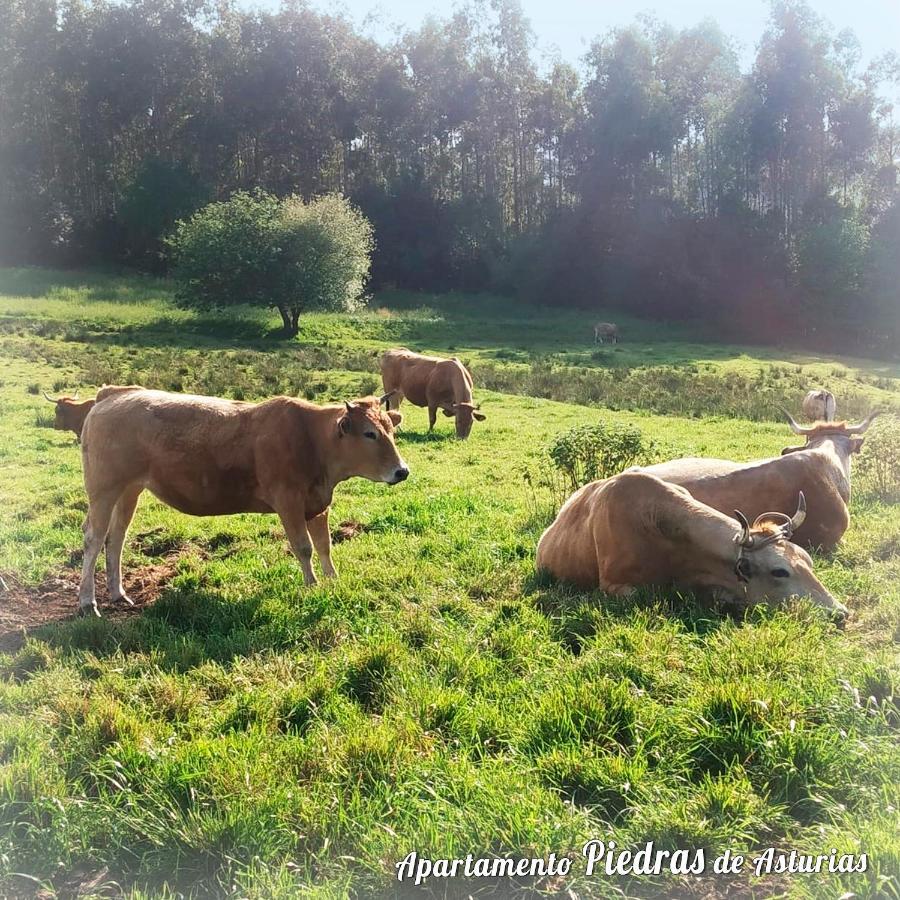 ピエドラス・ブランカスPiedras De Asturiasアパートメント エクステリア 写真