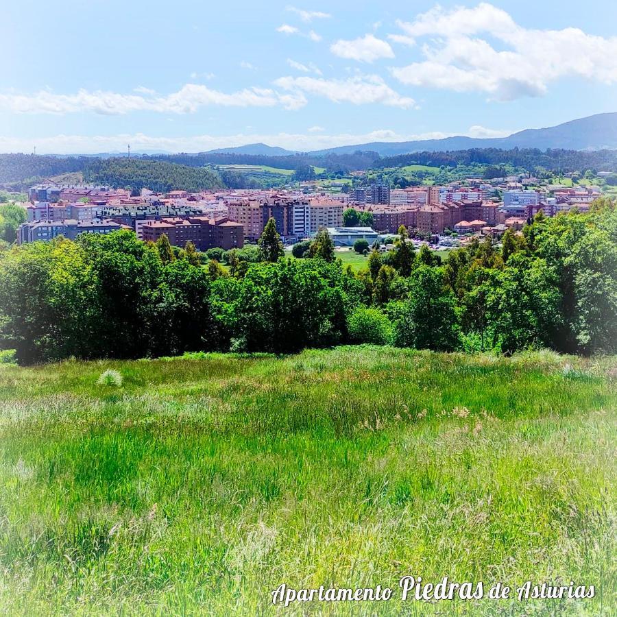 ピエドラス・ブランカスPiedras De Asturiasアパートメント エクステリア 写真